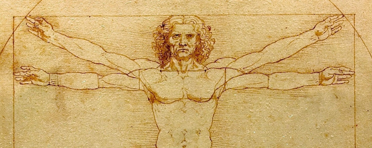 Da Vinci Vetruvian Man