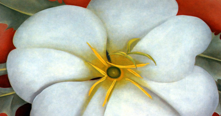 georgia-o-keeffe-white-flower-on-red-earth