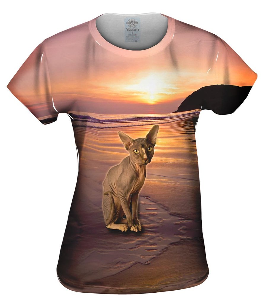Sphynx Cat Beach Sunset Womens Tshirt
