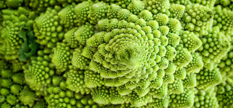 fractal-cauliflower